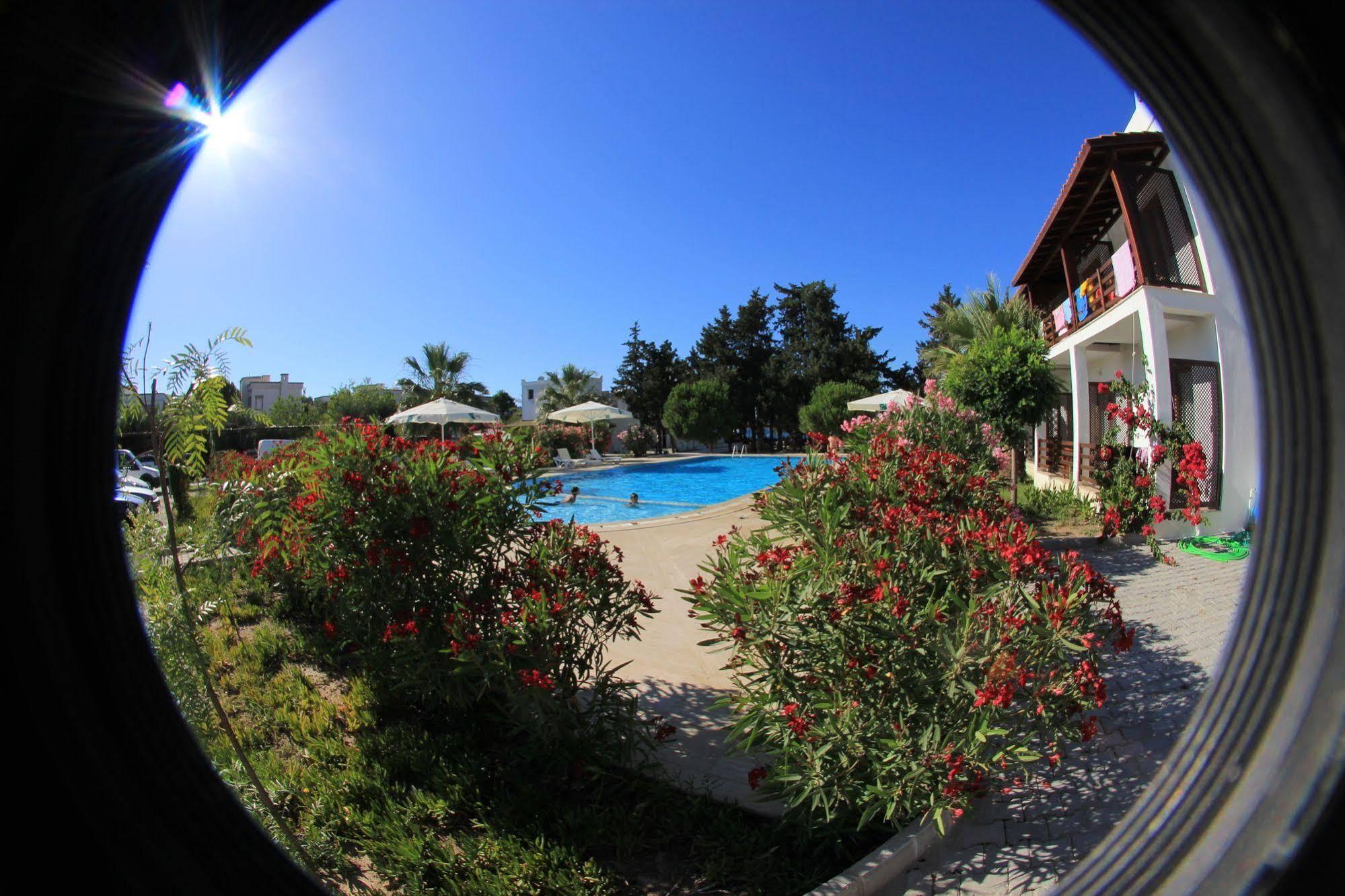 Selvi Beach Hotel Göltürkbükü Buitenkant foto